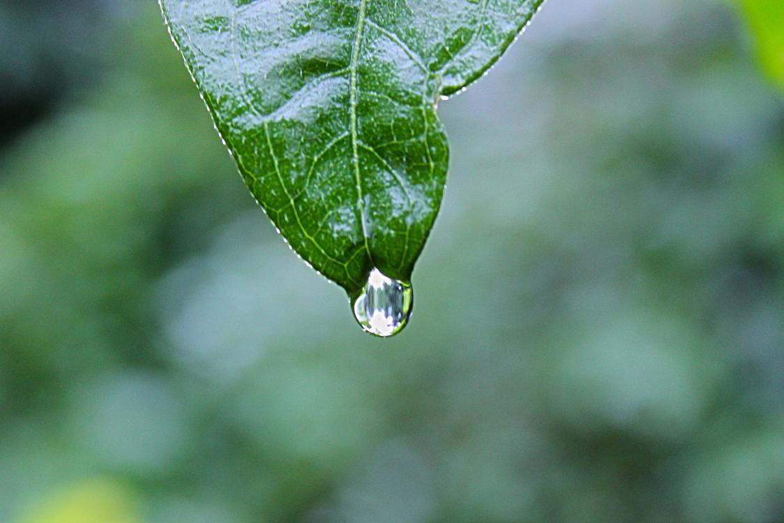 Sed ipsum ipsum est voluptatum