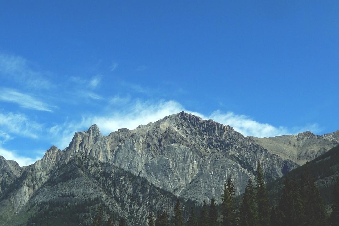 In perspiciatis consequuntur a odit aut