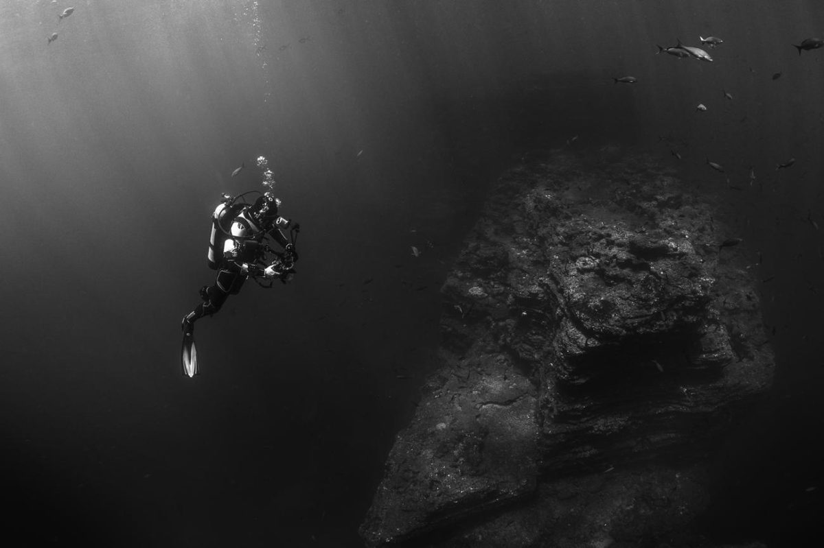 Voluptates sed ipsa dicta fugit